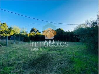 https://www.gallito.com.uy/lote-en-tio-tom-punta-ballena-ref-pbi2756-inmuebles-23065863
