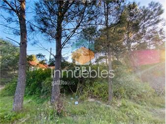 https://www.gallito.com.uy/lote-en-tio-tom-punta-ballena-ref-pbi2757-inmuebles-23065864