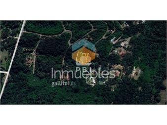 https://www.gallito.com.uy/venta-de-lote-en-las-cumbres-punta-ballena-ref-pbi207-inmuebles-25063579