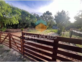 https://www.gallito.com.uy/venta-terreno-en-playa-hermosa-piriapolis-inmuebles-27091162