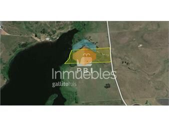 https://www.gallito.com.uy/venta-de-chacra-en-punta-ballena-punta-ballena-ref-pbi-inmuebles-23082089