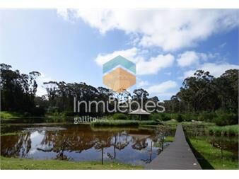 https://www.gallito.com.uy/terreno-en-venta-design-village-ref-pbi1658-inmuebles-25869019