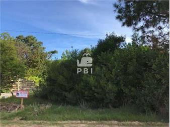 https://www.gallito.com.uy/terreno-en-venta-tio-tom-ref-pbi393-inmuebles-23081755