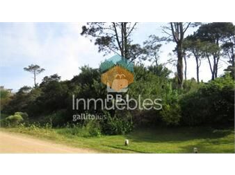 https://www.gallito.com.uy/terreno-en-venta-chihuahua-ref-pbi1198-inmuebles-23840360