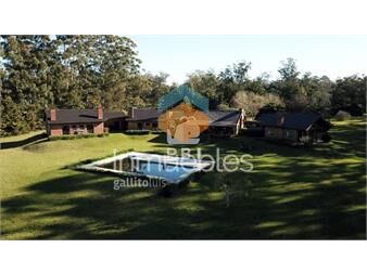 https://www.gallito.com.uy/chacra-en-venta-punta-ballena-6-dormitorios-ref-pbi1611-inmuebles-23064273