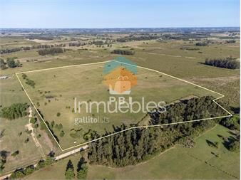 https://www.gallito.com.uy/venta-de-chacra-en-las-vertientes-punta-ballena-ref-pb-inmuebles-23065561