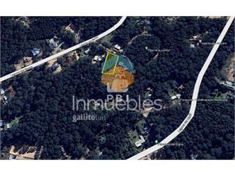 https://www.gallito.com.uy/venta-de-terreno-en-club-del-lago-ref-pbi13668-inmuebles-25573764