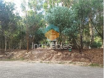 https://www.gallito.com.uy/terreno-en-design-village-ref-pbi13480-inmuebles-25105729