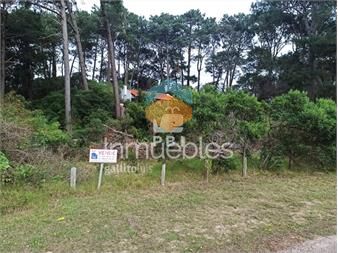 https://www.gallito.com.uy/terreno-en-laguna-del-sauce-punta-ballena-ref-pbi13367-inmuebles-24965572