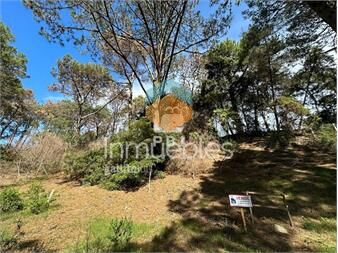 https://www.gallito.com.uy/terreno-en-venta-club-del-lago-ref-pbi1367-inmuebles-23142108