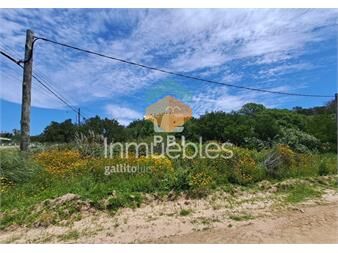 https://www.gallito.com.uy/terrenos-balneario-buenos-aires-ref-pbi13139-inmuebles-24673449