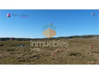 https://www.gallito.com.uy/venta-de-chacra-en-ruta-39-san-carlos-inmuebles-27091456