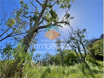 https://www.gallito.com.uy/terreno-venta-piedras-del-chileno-punta-del-este-inmuebles-24514681