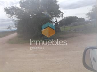 https://www.gallito.com.uy/86-hectareas-forestal-ruta-109-inmuebles-25193661