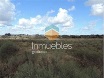 https://www.gallito.com.uy/terreno-venta-peñarol-ruta-102-y-coronel-raiz-inmuebles-12517947