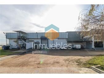 https://www.gallito.com.uy/alquiler-local-galpon-deposito-planta-industrial-melilla-la-inmuebles-25868718