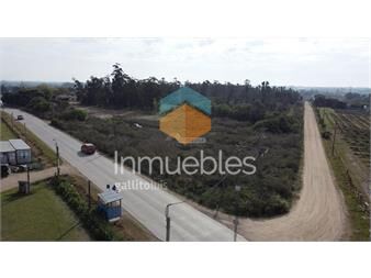 https://www.gallito.com.uy/venta-terreno-melilla-camino-fauquet-y-ruta-5-prox-uam-sal-inmuebles-23950336