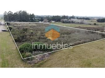 https://web5.gallito.com.uy/venta-terreno-melilla-ruta-5-y-camino-fauquet-proximo-uam-s-inmuebles-17231492
