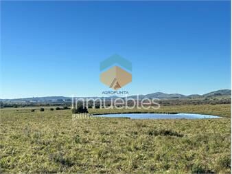 https://www.gallito.com.uy/67-has-pueblo-eden-alto-indice-coneat-inmuebles-25703260