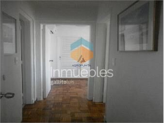 https://www.gallito.com.uy/apartamento-en-peninsula-2-dormitorios-inmuebles-17596969