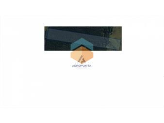 https://www.gallito.com.uy/chacra-de-10-hectareas-inmuebles-18810537