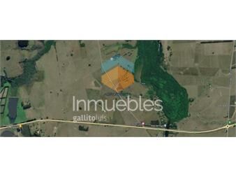 https://www.gallito.com.uy/campo-15-hectareas-inmuebles-22066234
