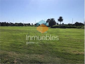 https://www.gallito.com.uy/terreno-venta-melilla-el-mejor-para-logistica-sobre-ruta-5-inmuebles-20135259