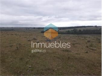 https://www.gallito.com.uy/campo-de-47-has-en-paraje-los-caracoles-consulte-inmuebles-19933082