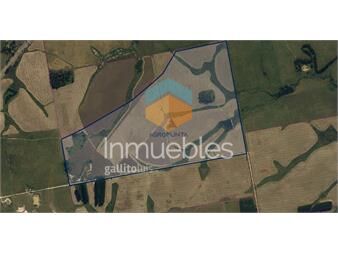 https://www.gallito.com.uy/campo-agricola-ganadero-inmuebles-25793988