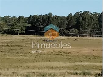 https://web5.gallito.com.uy/campo-en-venta-inmuebles-19933125