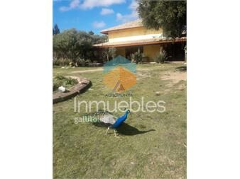 https://www.gallito.com.uy/chacra-38-has-inmuebles-20580044