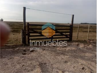 https://www.gallito.com.uy/venta-de-chacra-inmuebles-25910336