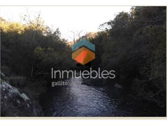 https://www.gallito.com.uy/muy-buen-campo-100-ganadero-en-ruta-12-inmuebles-18755360