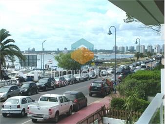 https://www.gallito.com.uy/apartamento-en-peninsula-3-dormitorios-inmuebles-19479514
