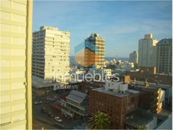 https://www.gallito.com.uy/peninsula-3-dormitorios-inmuebles-23302824