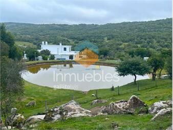 https://www.gallito.com.uy/campo-en-venta-a-los-pies-del-cerro-catedral-aigua-inmuebles-27050196