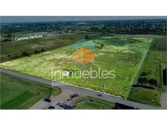 https://www.gallito.com.uy/venta-excepcional-lote-de-terreno-cno-los-aromos-inmuebles-24986385