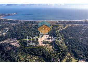 https://www.gallito.com.uy/terreno-en-venta-en-la-serena-punta-ballena-ref-pbi14-inmuebles-26172498