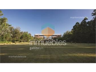 https://www.gallito.com.uy/chacra-rincon-del-indio-inmuebles-26059509