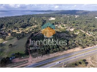 https://www.gallito.com.uy/terreno-en-la-serena-punta-ballena-ref-pbi13364-inmuebles-27112589