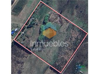 https://www.gallito.com.uy/en-venta-chacra-con-casa-en-laguna-de-los-cisnes-laguna-de-inmuebles-26790859