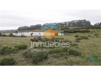 https://www.gallito.com.uy/campo-en-venta-inmuebles-25759339