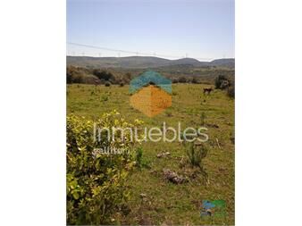 https://www.gallito.com.uy/69-has-ideales-para-fraccionar-salen-23-chacras-de-3-has-a-inmuebles-25570801