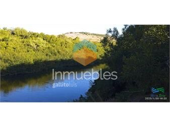 https://www.gallito.com.uy/excepcional-casa-de-campo-ideal-para-vivir-todo-el-año-c-inmuebles-23242745