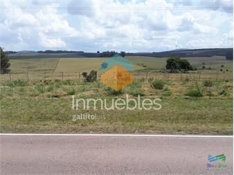 https://www.gallito.com.uy/18-has-r39-a-30-kms-de-punta-y-pocos-minutos-de-r9-inmuebles-24678306