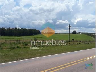 https://www.gallito.com.uy/chacra-5-has-sobre-r39-a-15-kms-de-ruta-9-y-32-de-punta-de-inmuebles-24678305