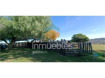 https://www.gallito.com.uy/muy-buen-campo-mixto-ganadero-forestal-de-690-has-y-bien-ub-inmuebles-24355372
