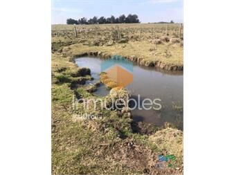 https://www.gallito.com.uy/campo-de-20-hectareas-en-venta-zona-de-garzon-inmuebles-26950747
