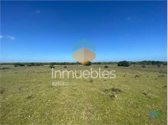 https://www.gallito.com.uy/imperdible-oportunidad-campo-con-potencial-de-fraccionar-en-inmuebles-24240648
