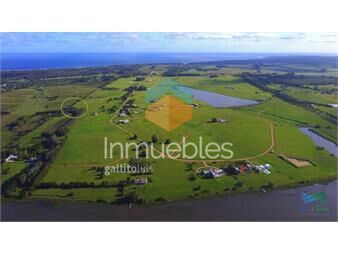 https://www.gallito.com.uy/venta-de-gran-terreno-en-laguna-de-los-cisnes-punta-ballena-inmuebles-23518390